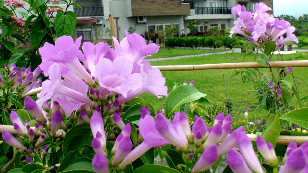 Maple Feeling Vacation Farm Guest House Guangfu Exterior foto
